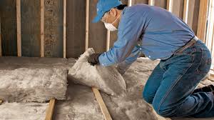 Best Garage Insulation  in , TX